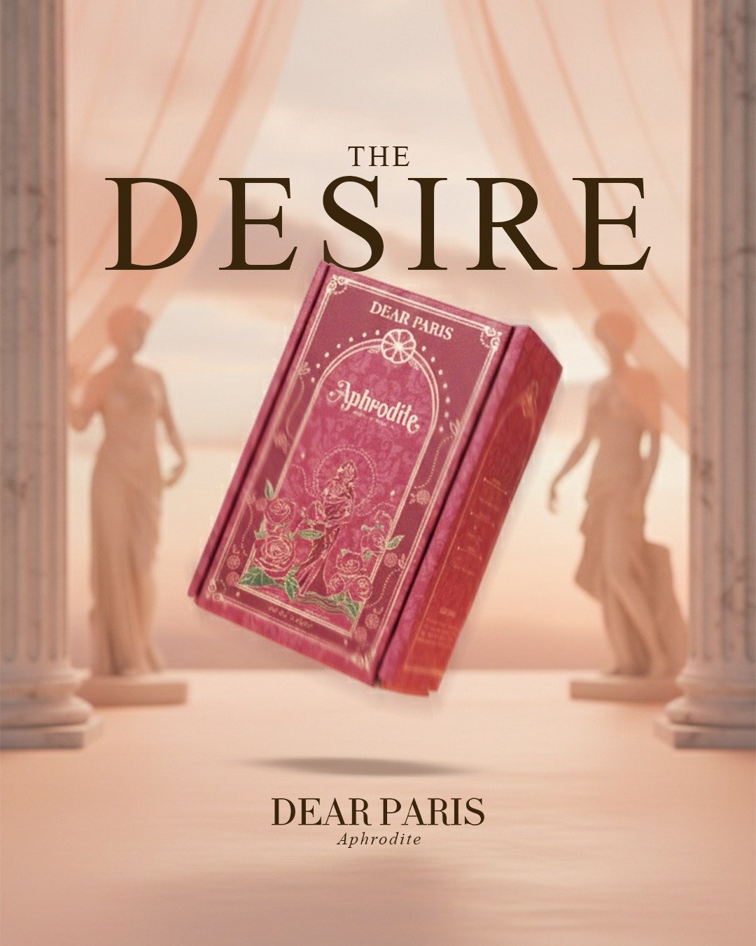 WhatsApp Image 2026-02-26 at 02.34.34